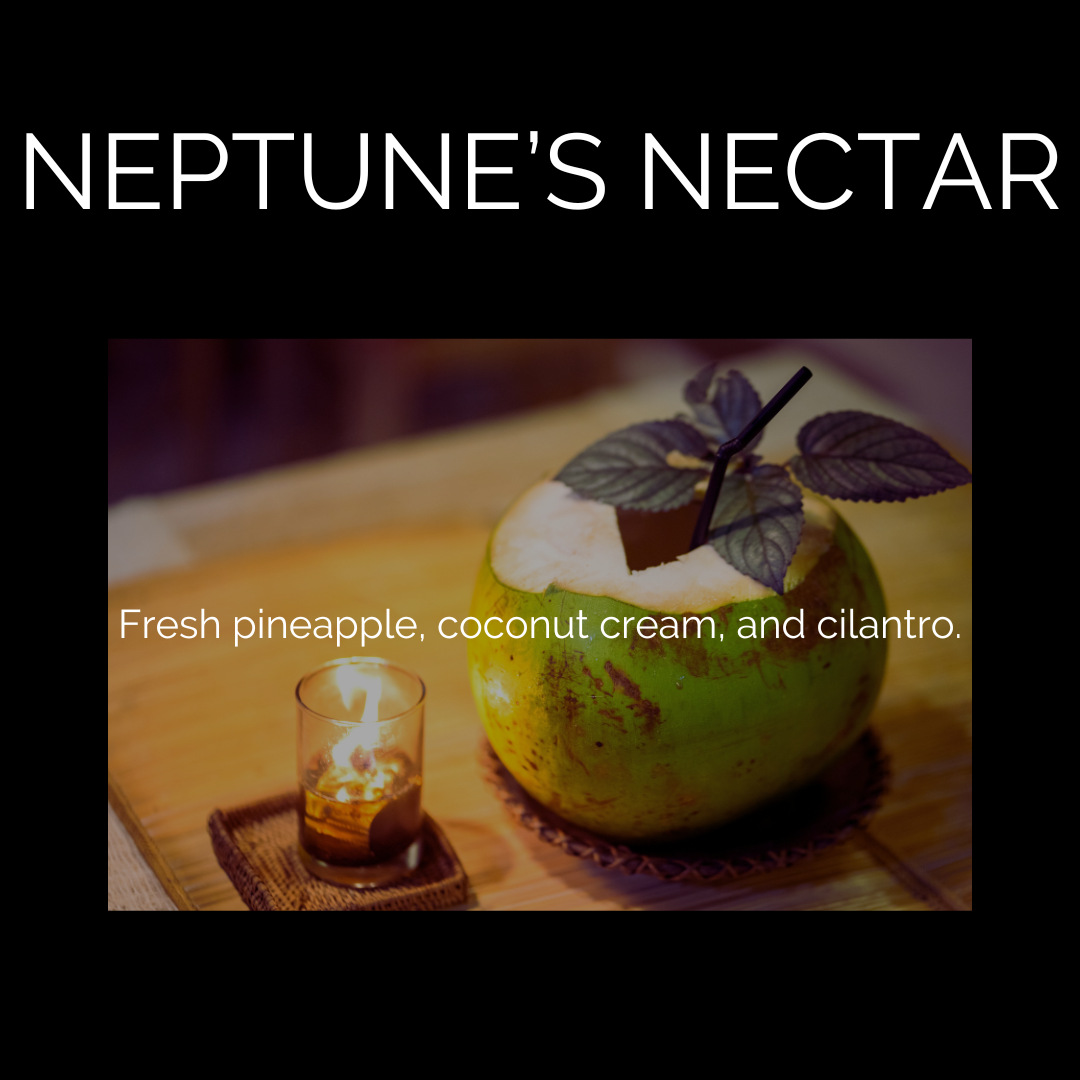 Neptune’s Nectar | Cosmic Confetti Soy Wax Melts